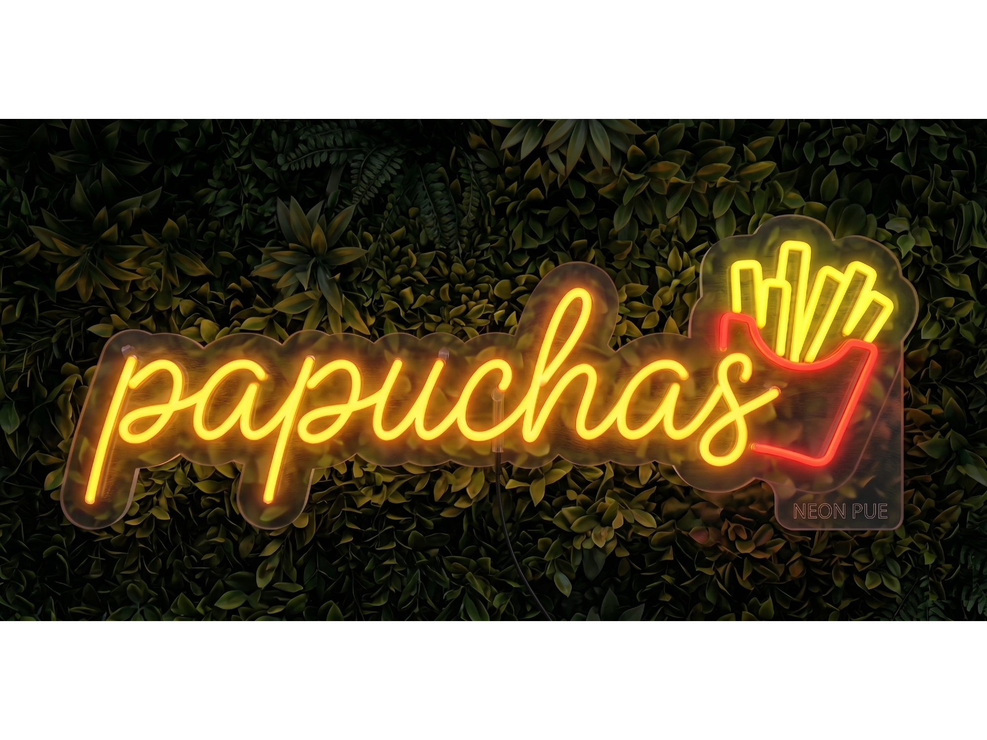 PAPAS 2
