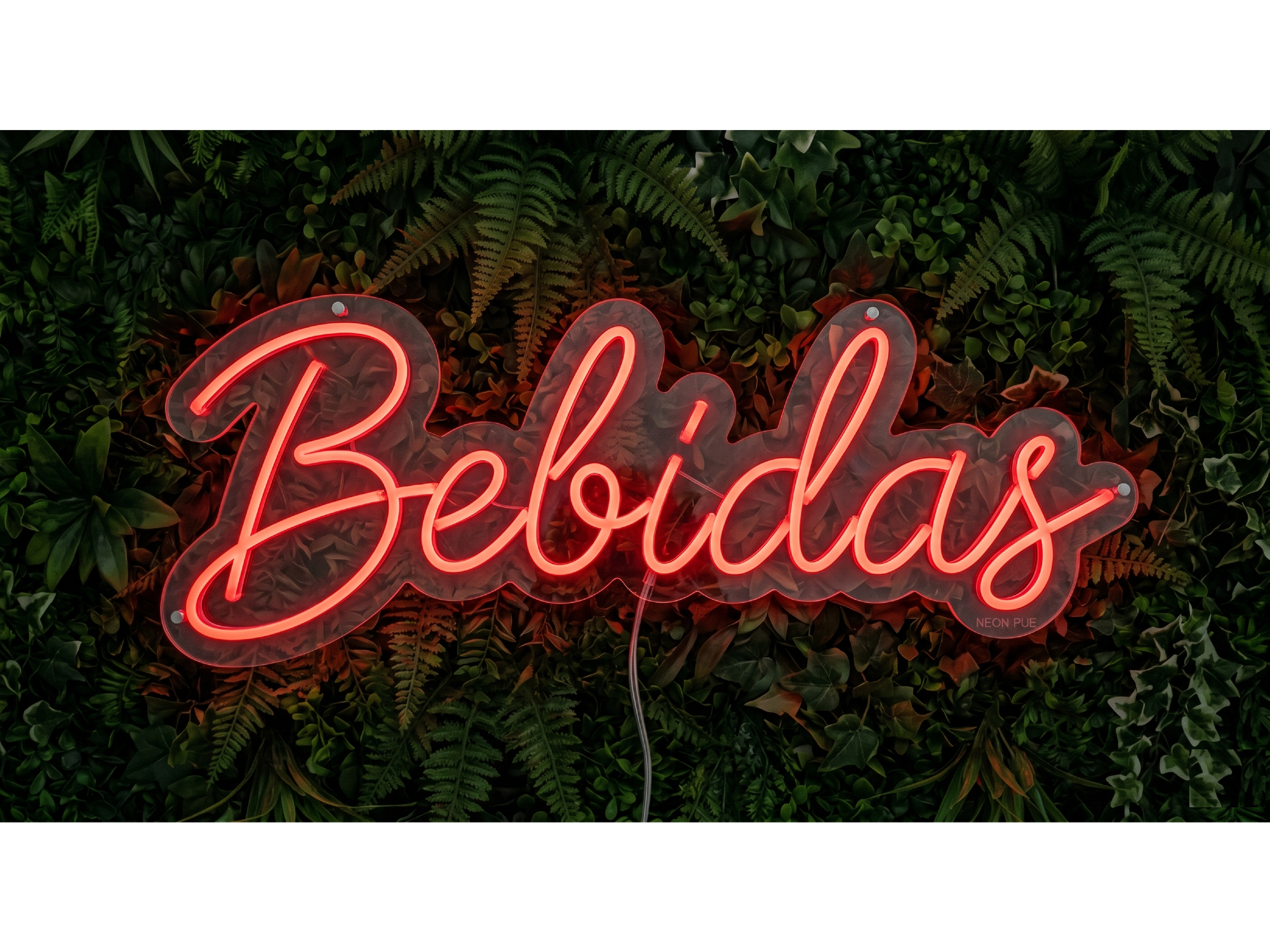 BEBIDAS 2
