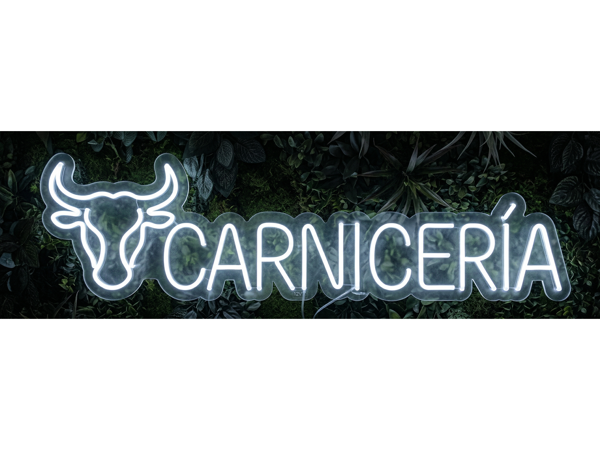 CARNICERIA 2
