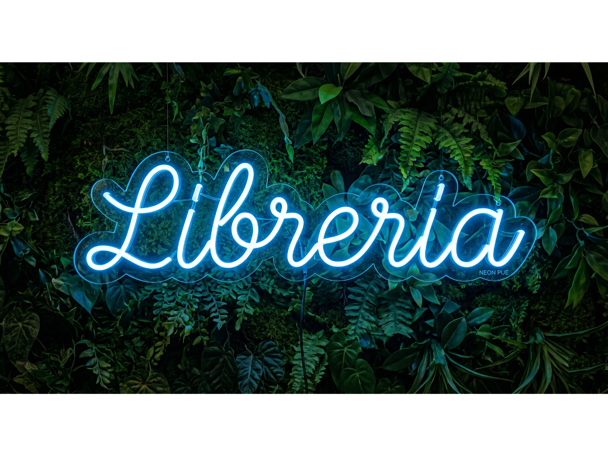 LIBRERIA 2
