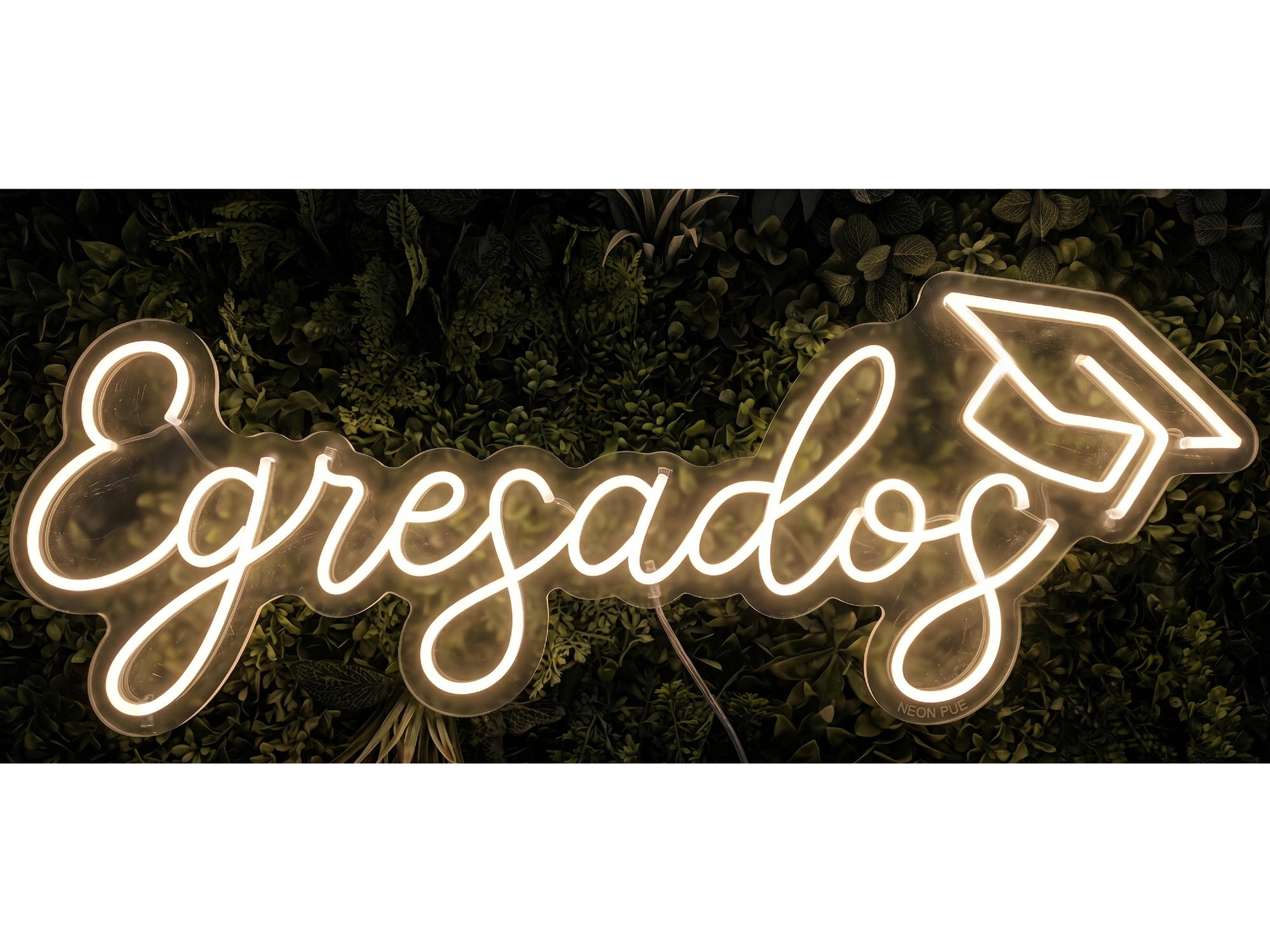 EGRESADOS