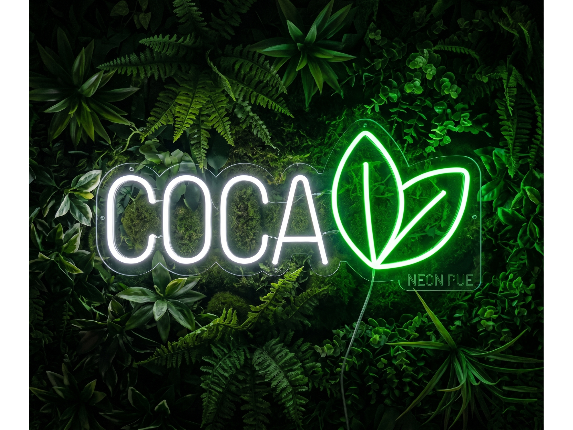 COCA 2