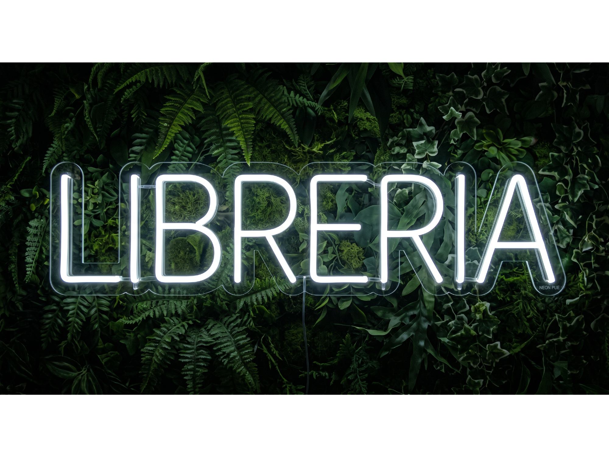 LIBRERIA 1