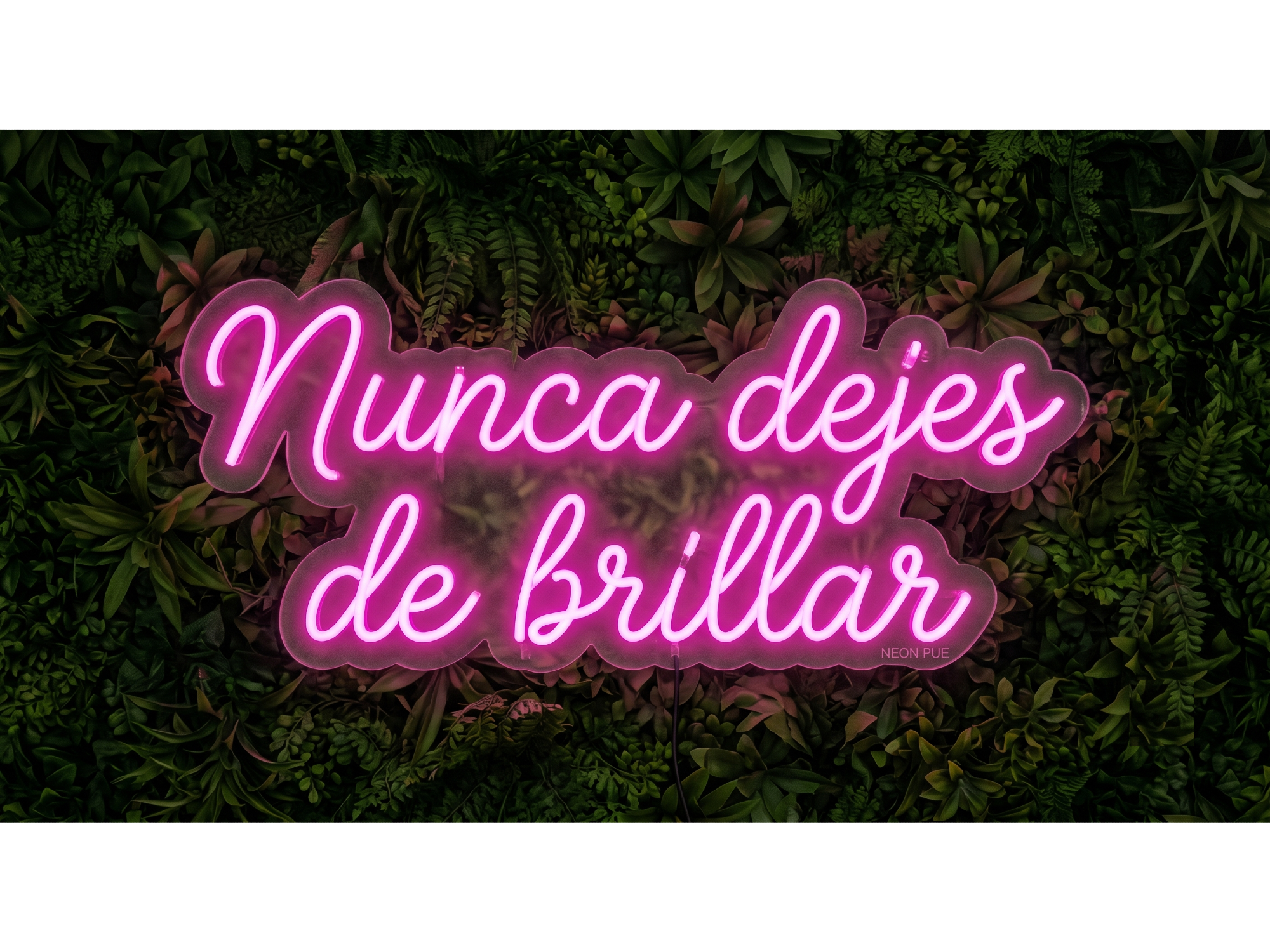 NUNCA DEJES DE BRILLAR