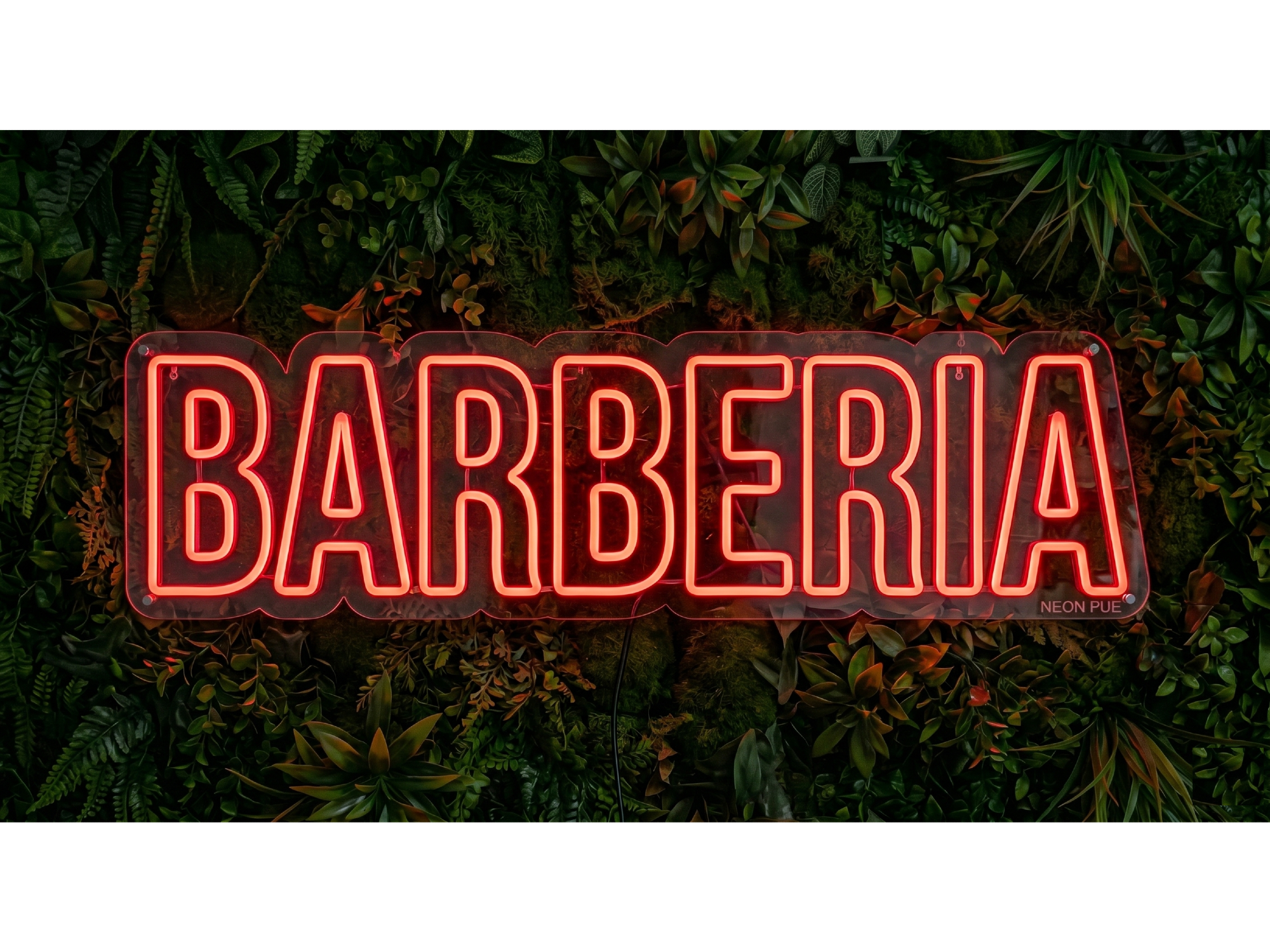 BARBERIA 1