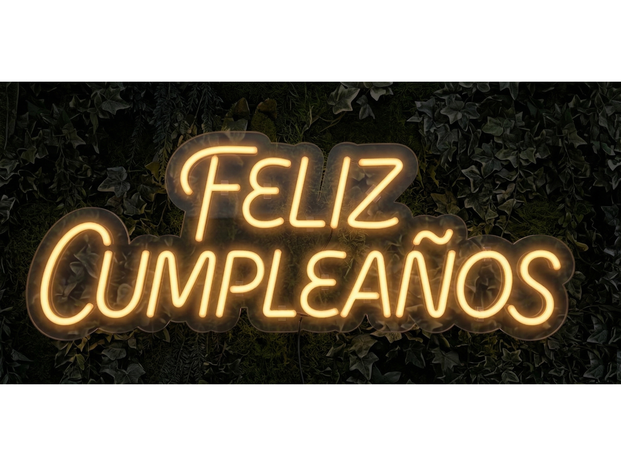 FELIZ CUMPLEAÑOS 2