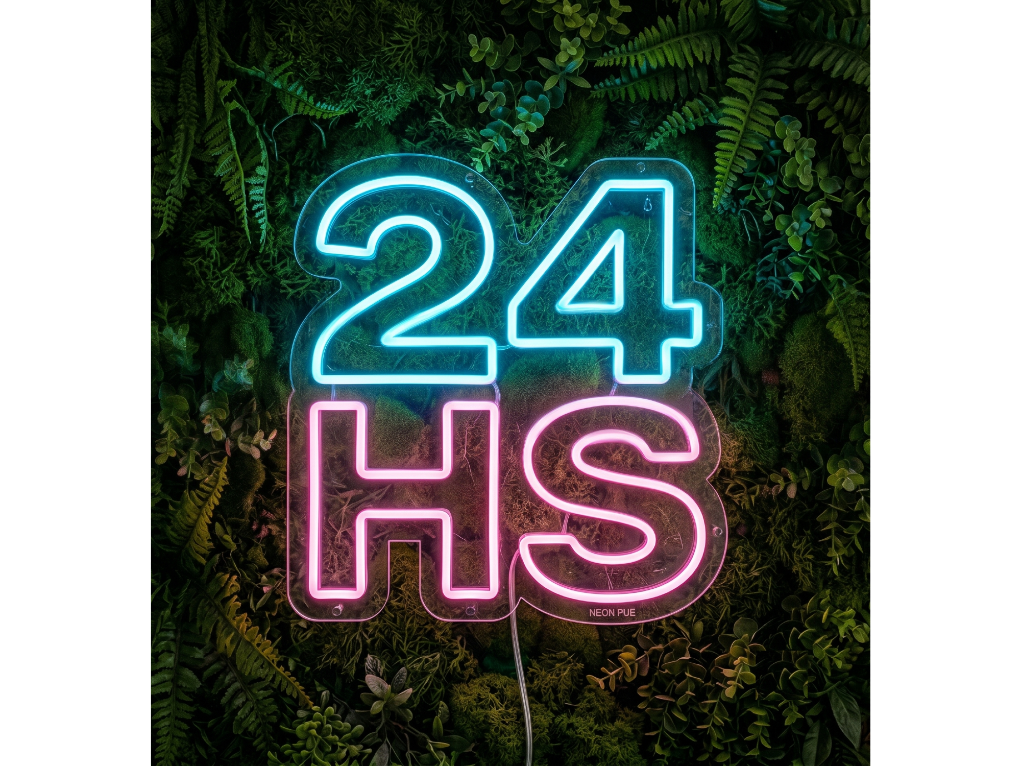 24HS