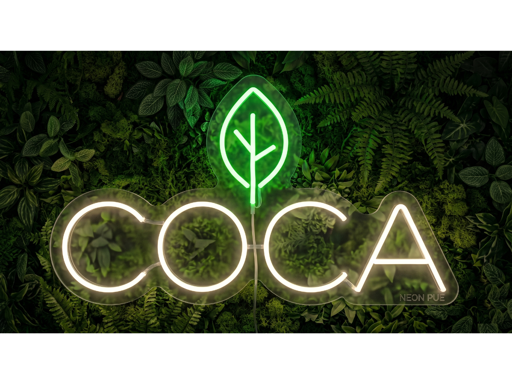 COCA 1