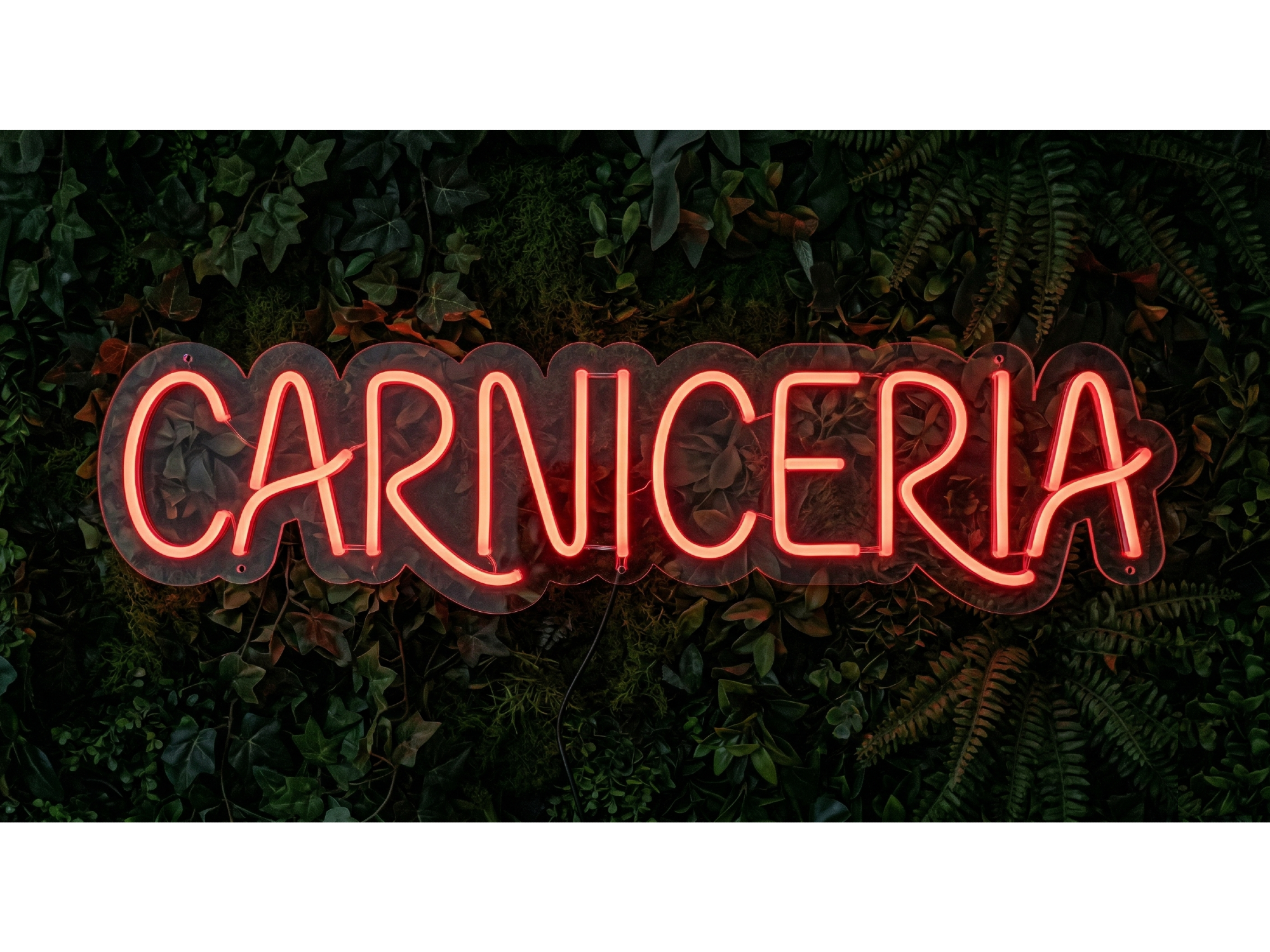 CARNICERIA