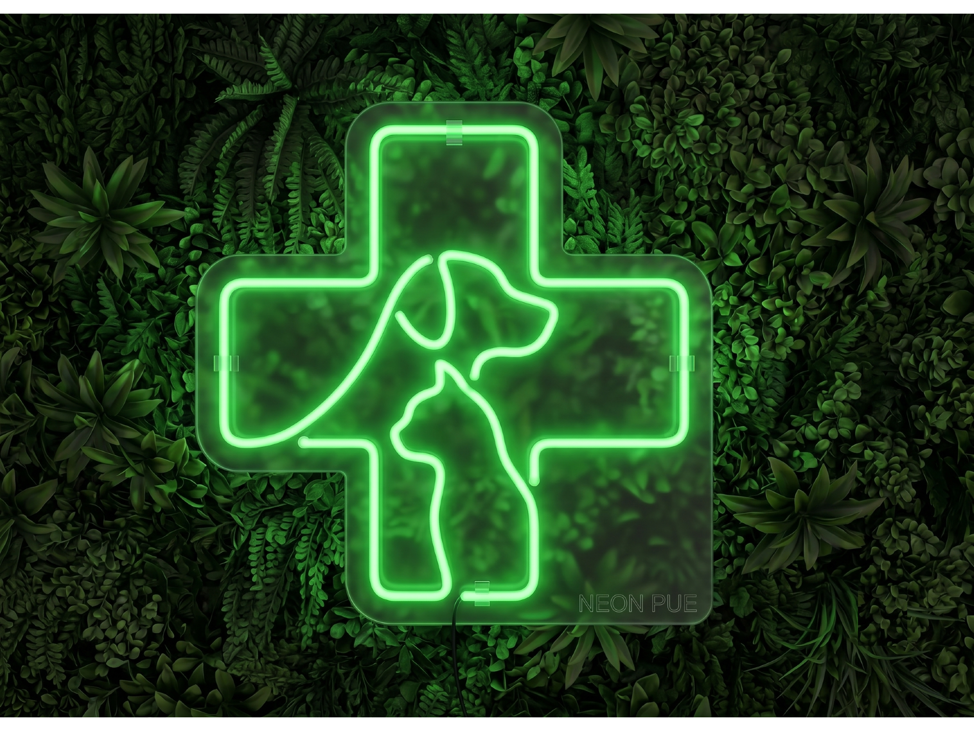 VETERINARIA 2