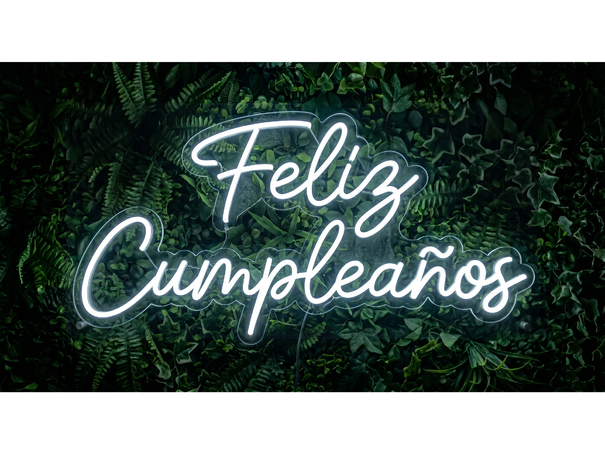 FELIZ CUMPLEAÑOS 1