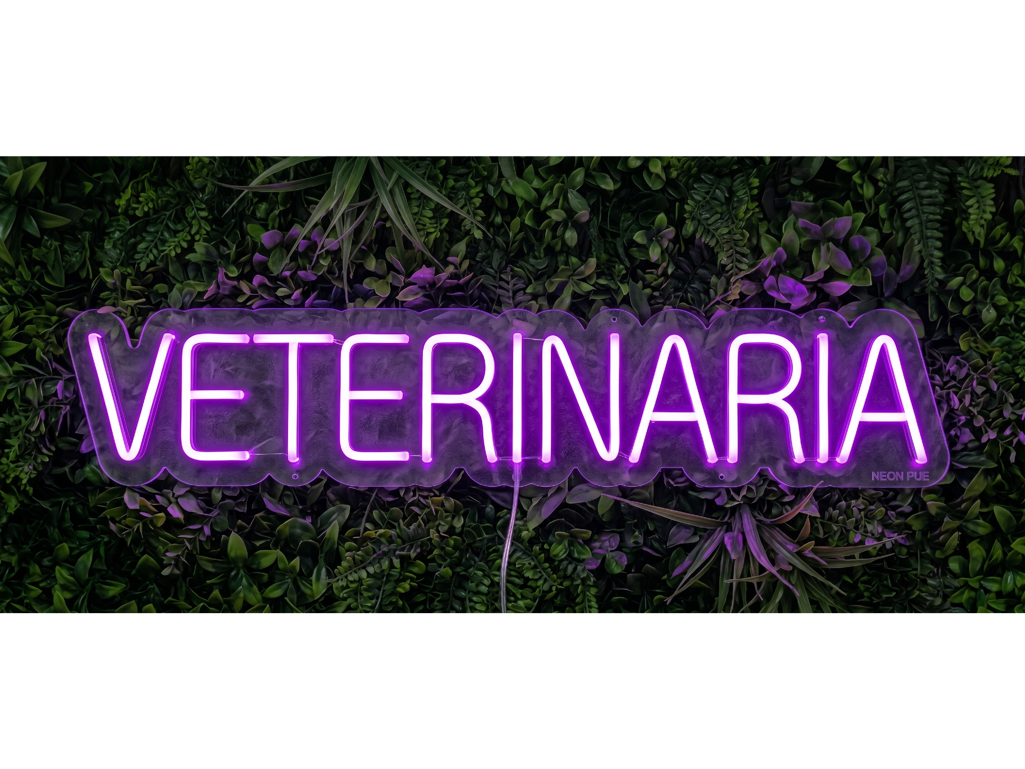 VETERINARIA 1