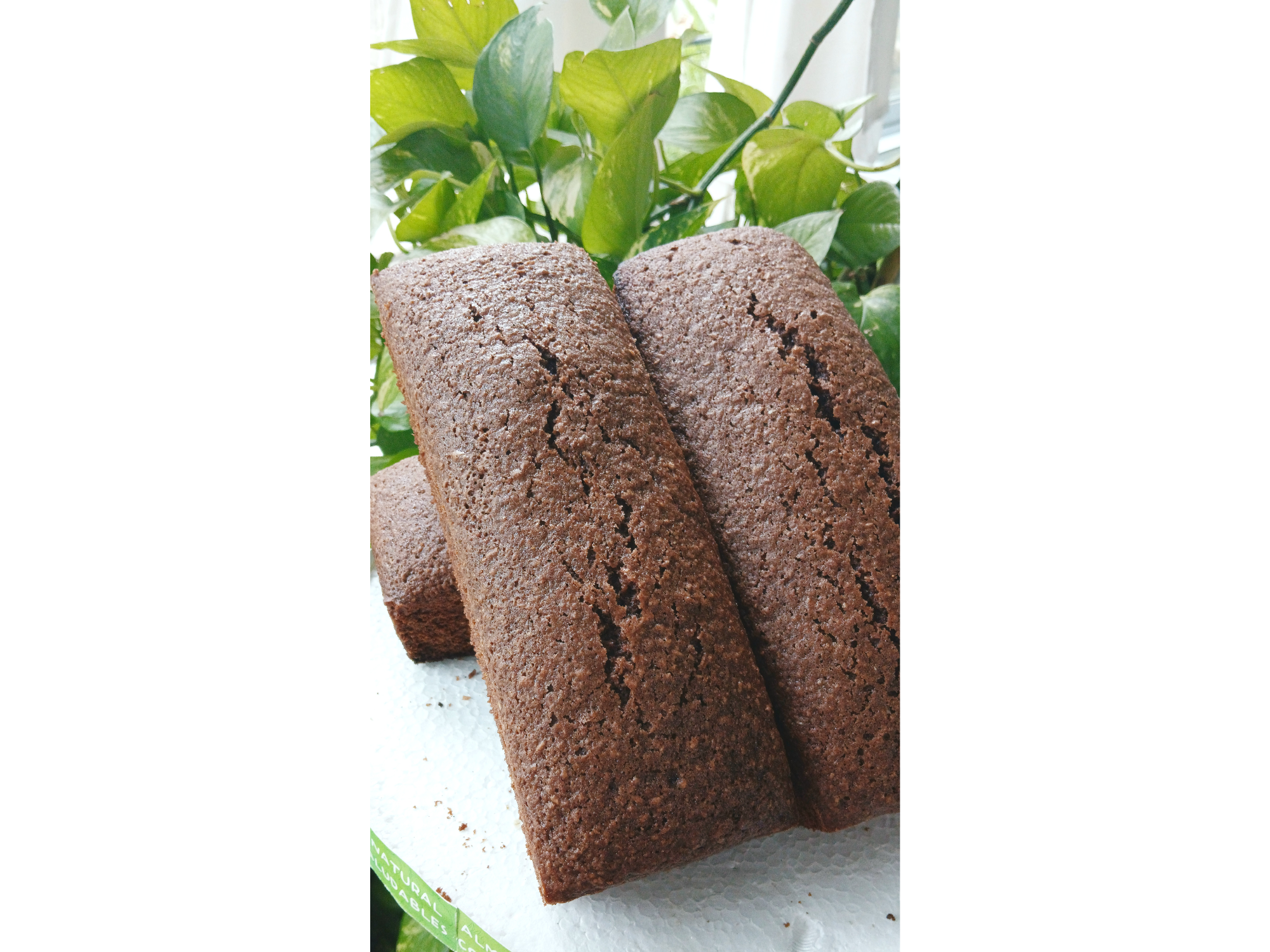 BUDIN INTEGRAL DE CHOCOLATE