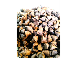 CHIPS DE CHOCOLATE