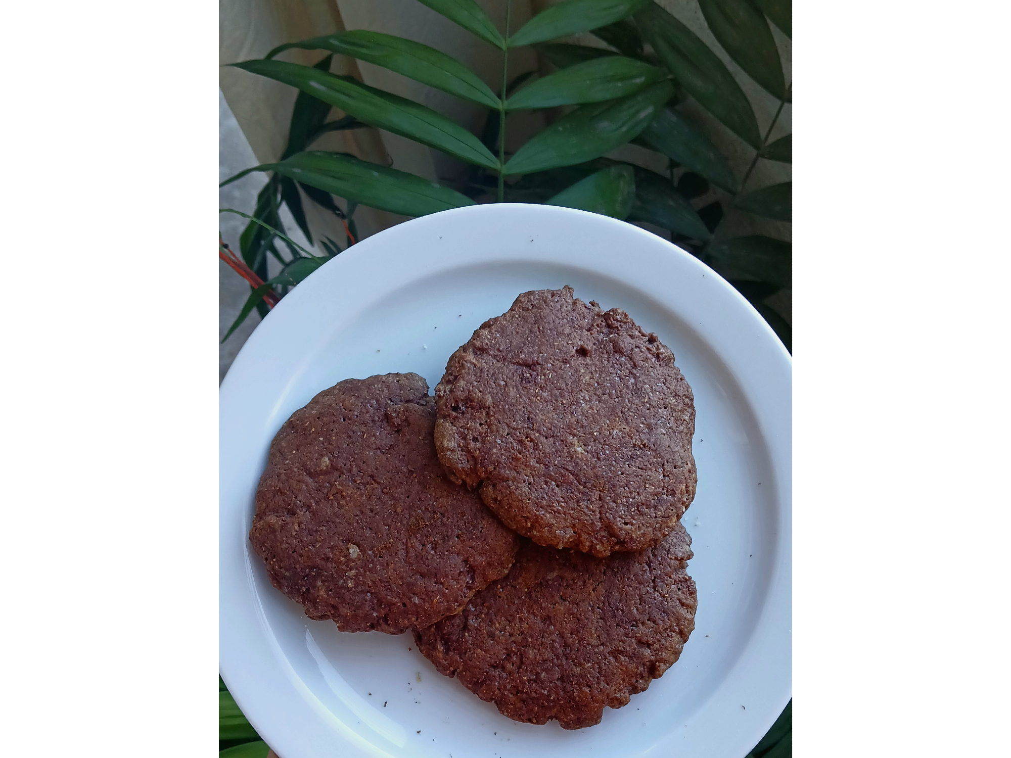 GALLETAS DE ALGARROBA x3