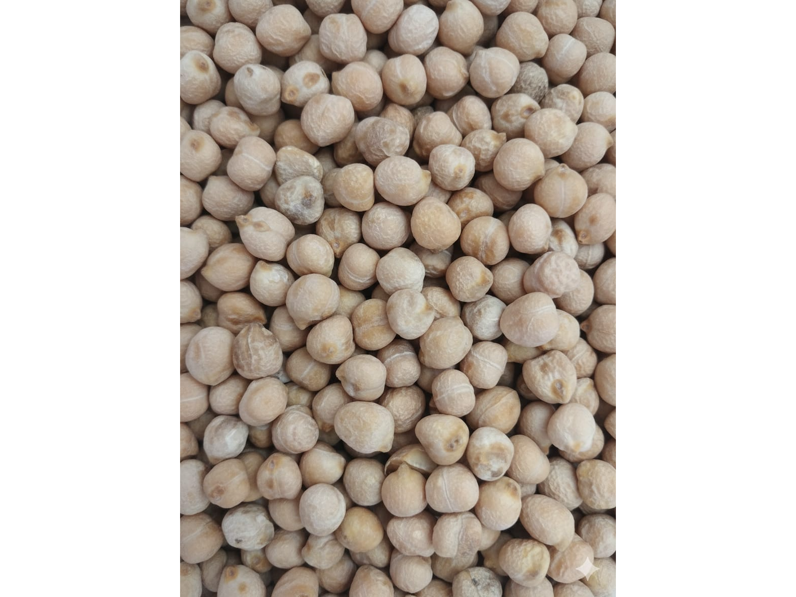GARBANZOS