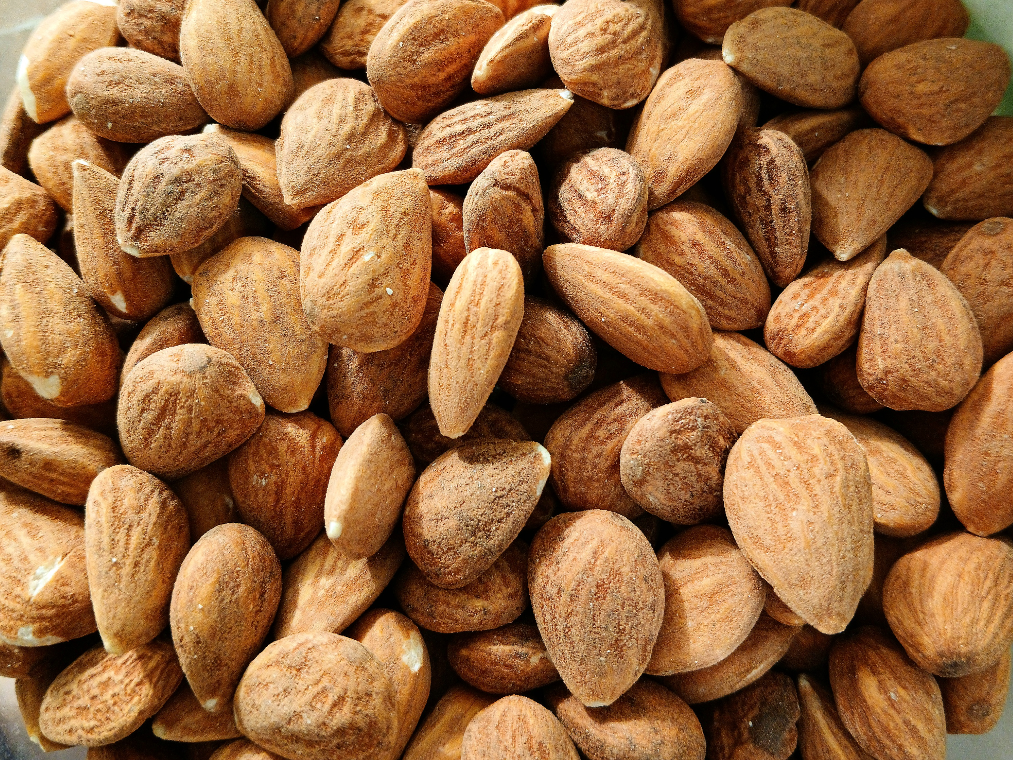 ALMENDRAS GUARA de ππΌπ ππΌππ - πΌπ‘ππ’ππ£π©π€π¨ π¨ππ‘πͺππππ‘ππ¨