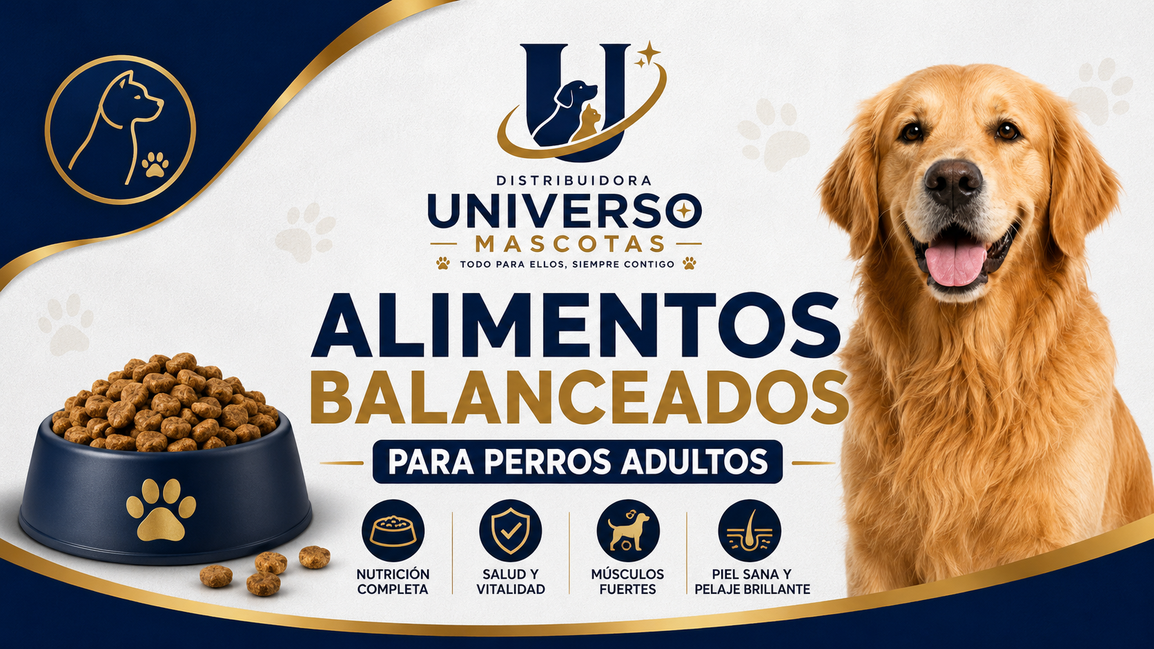 Alimentos Perros Adultos
