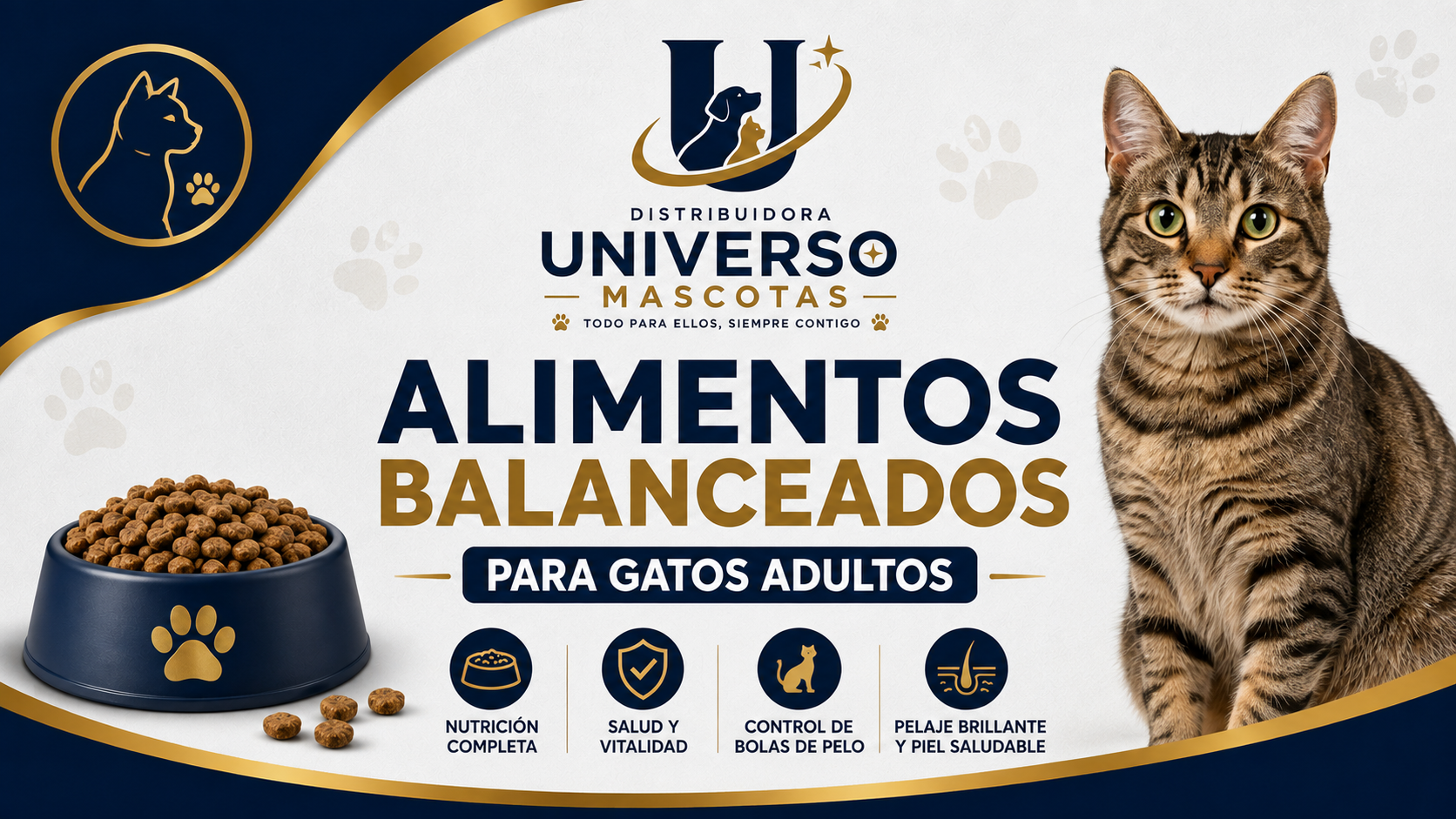 Alimentos Gatos Adultos