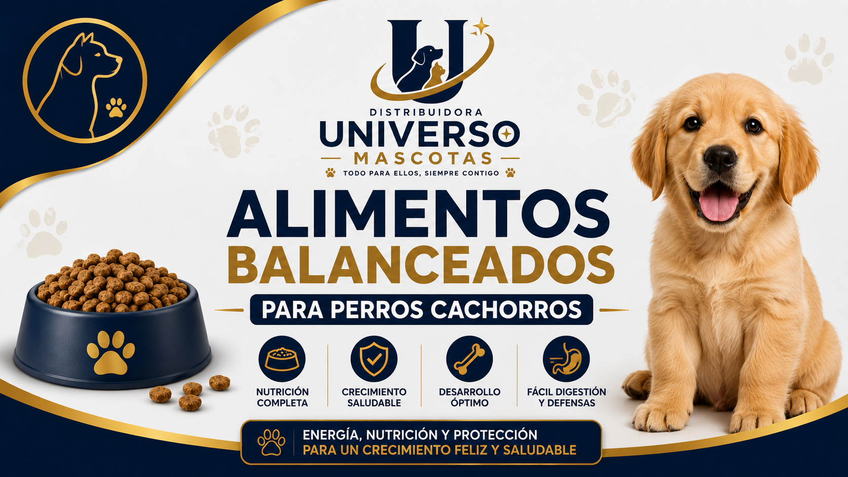 CACHORROS