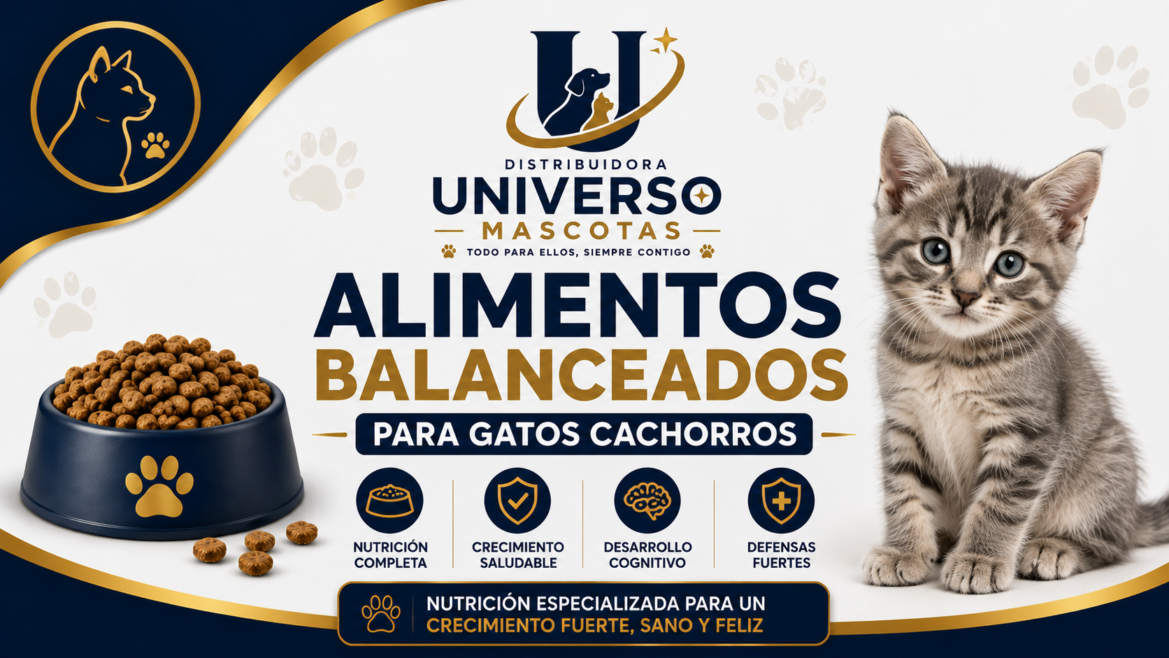 Gatitos