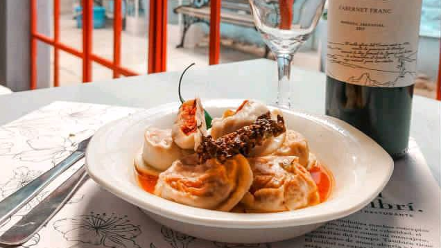 LASAGNA Y CANELONES